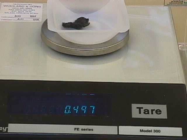 Electronic Top-Loading Balance iron in dish (without U) {Mvc-024s.jpg (18438 bytes)}