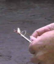 Testing for hydrogen [1elect5H.JPG (10200 bytes)]