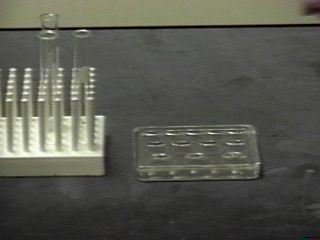 Test tubes ans spot plate [1rx1ttsp.JPG]