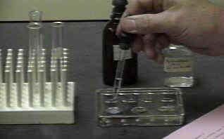 Reaction of silver nitrate with hydrochloric acid [1rx2AgCl.JPG]