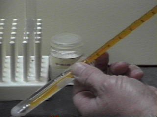 Taking temerature of water after adding ammonium nitrate [1rx9btmp.JPG]