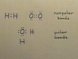 Lewis diagrams showing polar and nonpolar bonds.