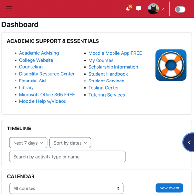 The Moodle Newdle: Student Support